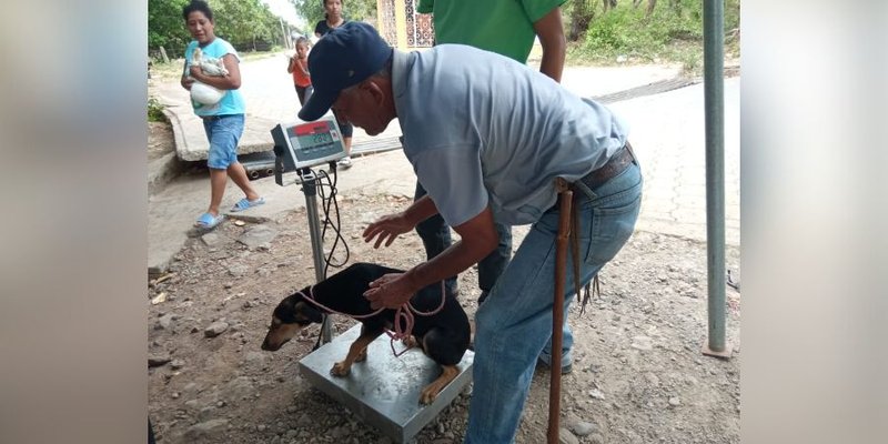 Estudiantes Técnicos de Veterinaria  desarrollan Jornada de Sanidad Animal en Juigalpa