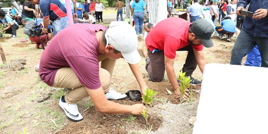 Celebran 208 años de independencia de Venezuela, con jornada de reforestación