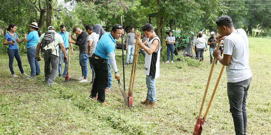 Estudiantes Técnicos continúan sembrando Madroño y Sacuanjoche en saludo a las fiestas patrias