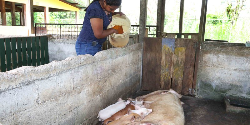 La educación técnica profesional como opción de desarrollo para la mujer en el campo