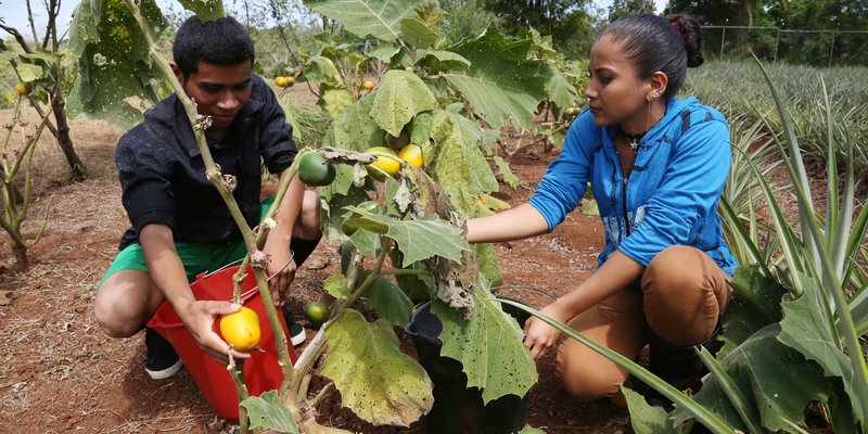 La educación técnica profesional como opción de desarrollo para la mujer en el campo