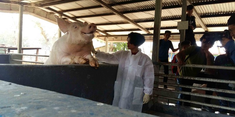 Estudiantes hondureños se preparan en carreras Técnicas Profesionales en Nicaragua