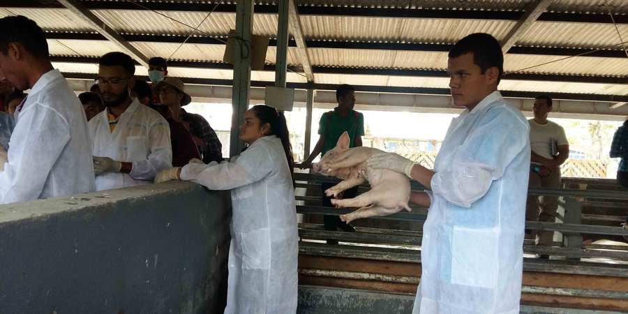 Estudiantes hondureños se preparan en carreras Técnicas Profesionales en Nicaragua