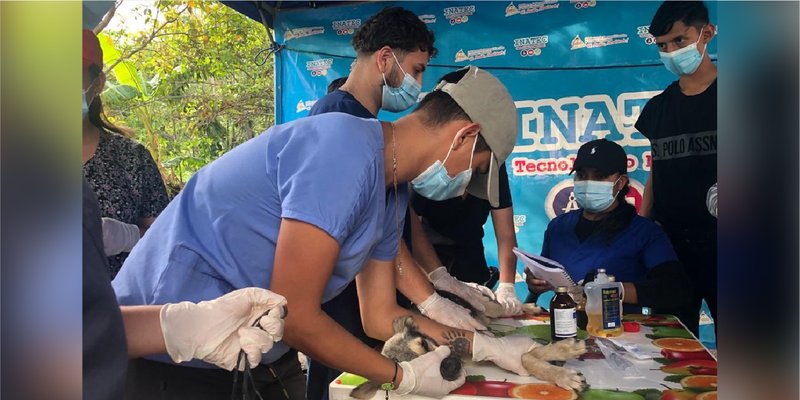 Estudiantes Técnicos brindan servicios médicos veterinarios en la comunidad