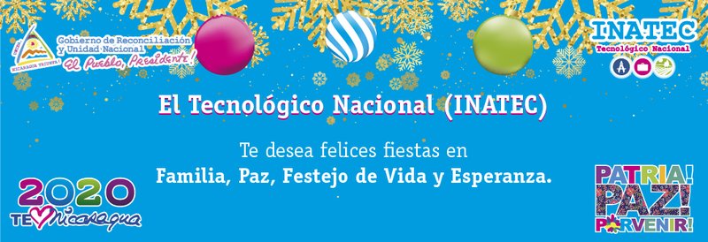 Felices Fiestas de Navidad y Año Nuevo 2019