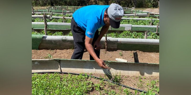Centro Técnico Agropecuario de Juigalpa prepara condiciones de cara al inicio de clases