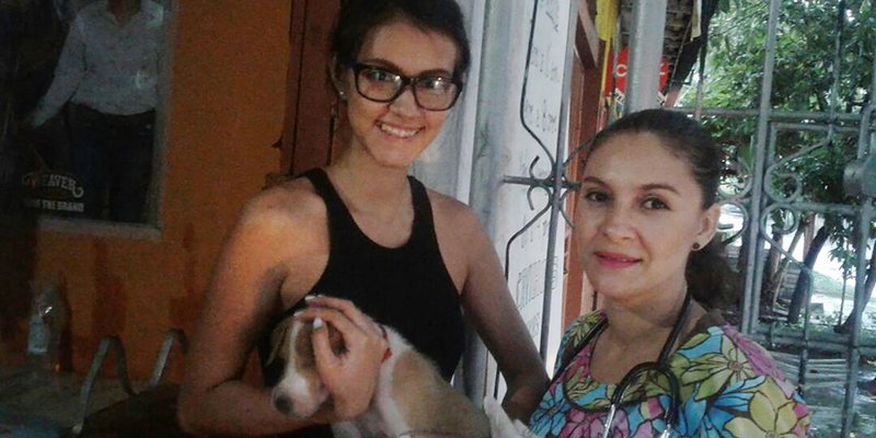 El amor por los animales