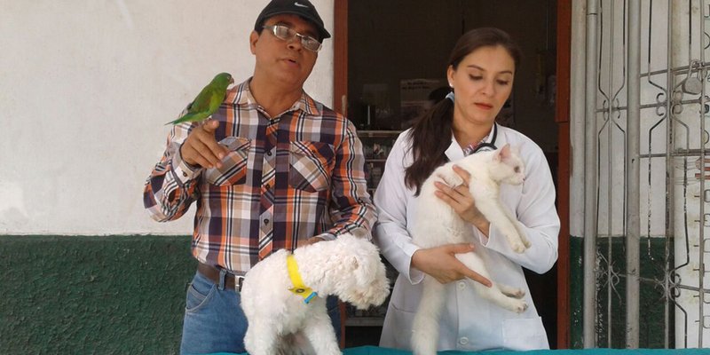 El amor por los animales