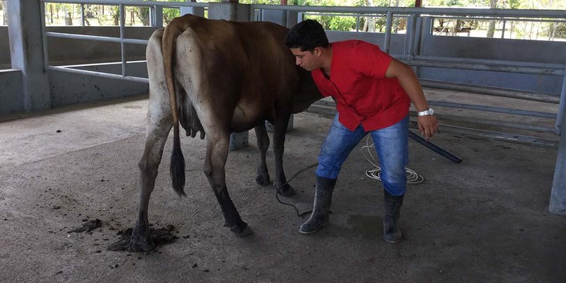 Josué Castellano: “La felicidad es hacer lo que a uno le gusta”