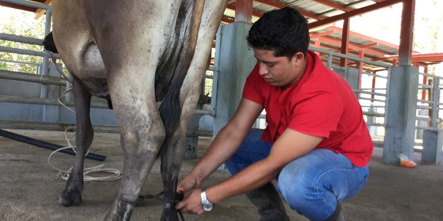 Josué Castellano: “La felicidad es hacer lo que a uno le gusta”