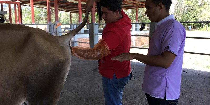 Josué Castellano: “La felicidad es hacer lo que a uno le gusta”