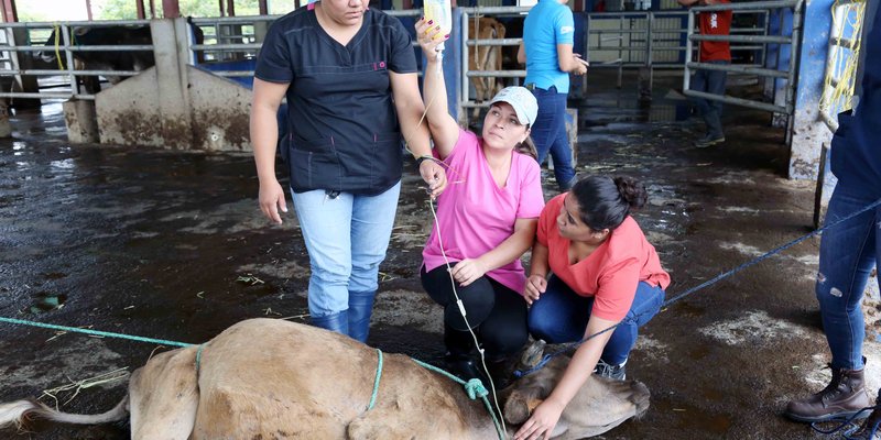 Educación Técnica Agropecuaria para  desarrollo del departamento