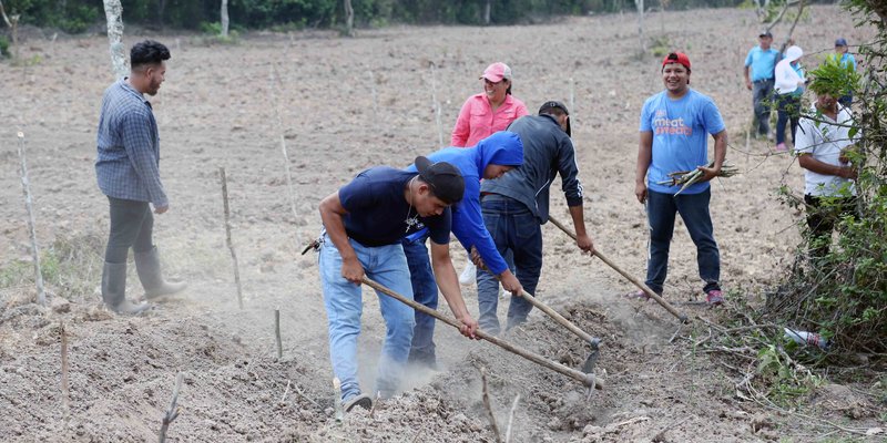 Educación Técnica Agropecuaria para  desarrollo del departamento