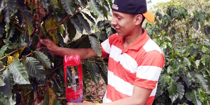 Educación Técnica Agropecuaria para  desarrollo del departamento