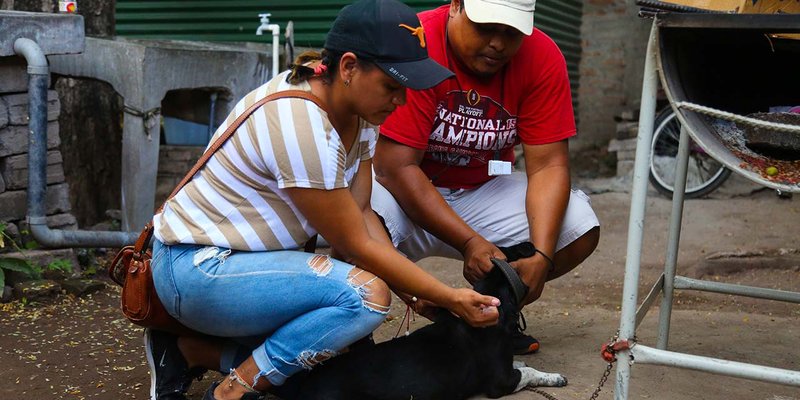 TECNacional - Realizan jornada de vacunación canina en San Isidro