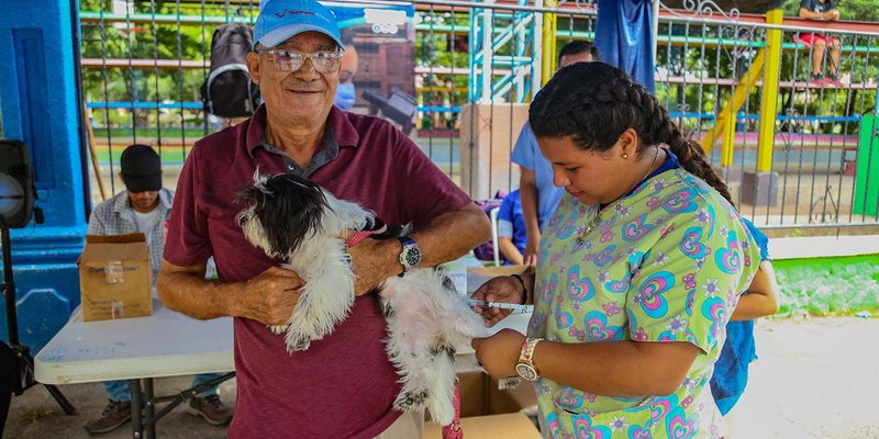 TECNacional - Realizan jornada de vacunación canina en San Isidro