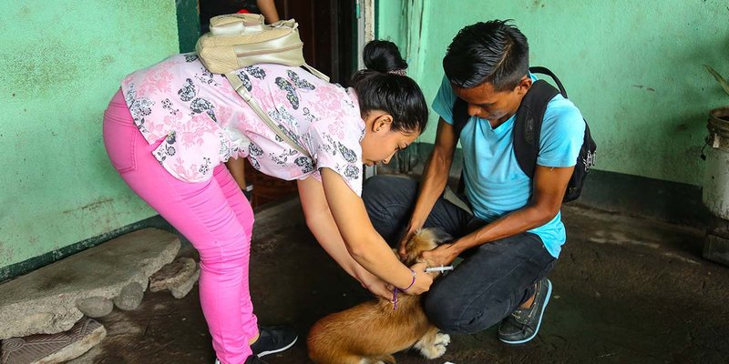 TECNacional - Realizan jornada de vacunación canina en San Isidro