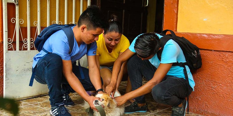 TECNacional - Realizan jornada de vacunación canina en San Isidro