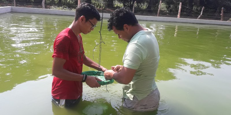 Estudiar una de las nuevas carreras técnicas, pueden ser tu camino para alcanzar el éxito profesional