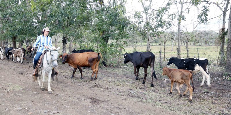 Crece el número de mujeres que estudian carreras agropecuarias