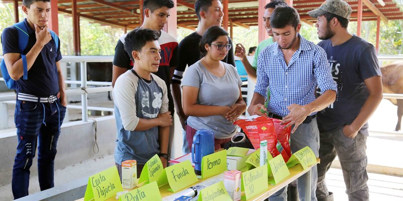 Entrega de herramientas e insumos para la producción