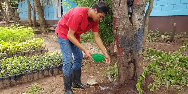 TECNacional - Aportando nuestro granito de amor al medio ambiente