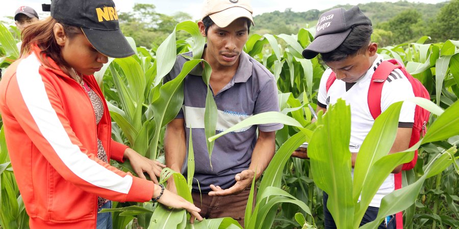 Variedad de Cultivos en las unidades de producción del Centro Tecnológico de Muy Muy