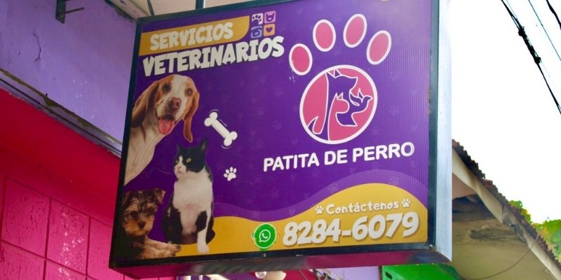 Manuel Landez Rojas Una fábrica de sueños cumplidos