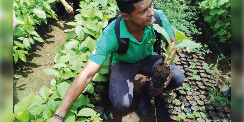 Estudiantes de carreras agropecuarias participan en Charla sobre "Manejo de Viveros" en El Rama