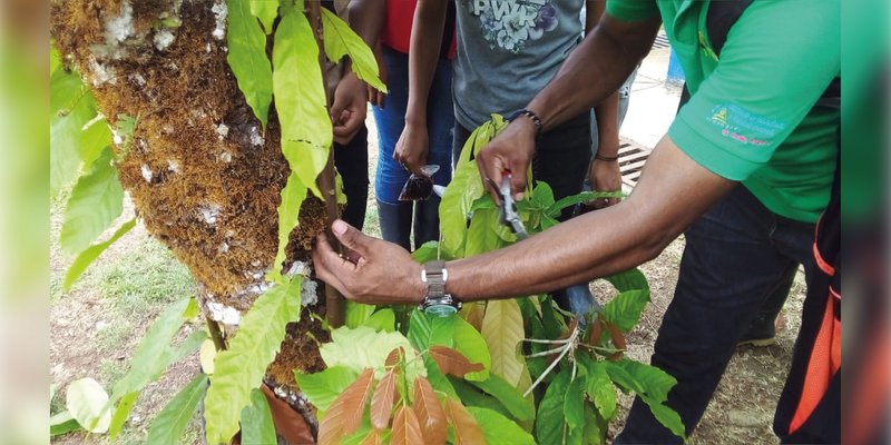 Estudiantes de carreras agropecuarias participan en Charla sobre "Manejo de Viveros" en El Rama