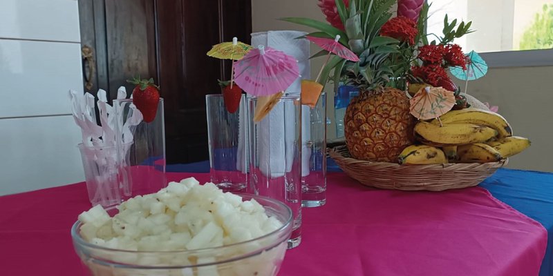 Inician Curso de Preparación de Batidos en Potosí, Rivas