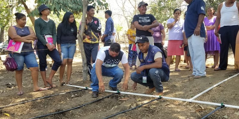 Productores de Jiquilillo, Chinandega Fortalecen capacidades desde las Escuelas Técnicas de Campo