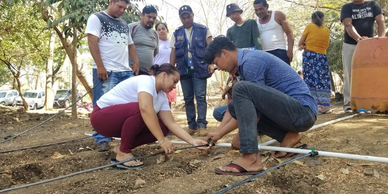 Productores de Jiquilillo, Chinandega Fortalecen capacidades desde las Escuelas Técnicas de Campo