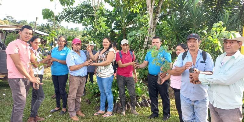 Centro Tecnológico de Nueva Guinea entrega 2 mil plantas forestales y maderables a las comunidades