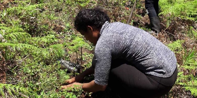 TECNacional - Jornada de Reforestación en la Reserva Natural Tomabú