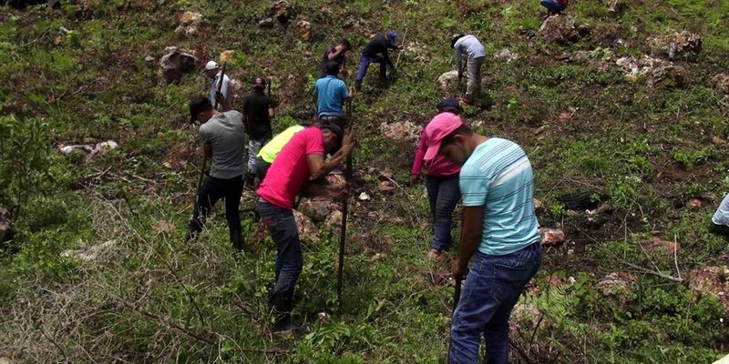 TECNacional - Jornada de Reforestación en la Reserva Natural Tomabú