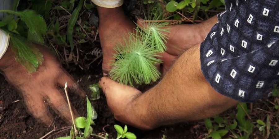 Jornada de Reforestación en la Reserva Natural Tomabú