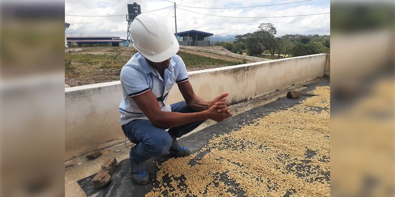 ¿Qué habilidades y Competencias Aprenden los Futuros Técnicos en Agroindustria del Café?