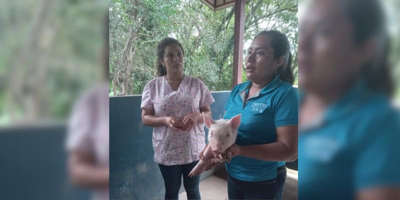 En tan solo 1 o 2 años puedes ser un técnico profesional