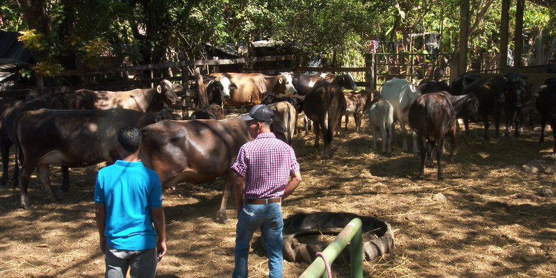 TECNacional - Un centro agropecuario para estudiar en El Sauce