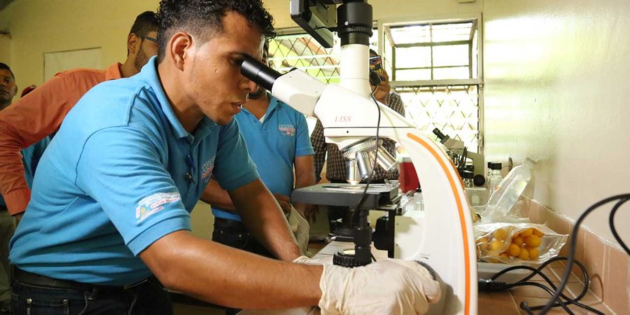 Docentes se capacitan en la técnica de procesamiento de semen porcino