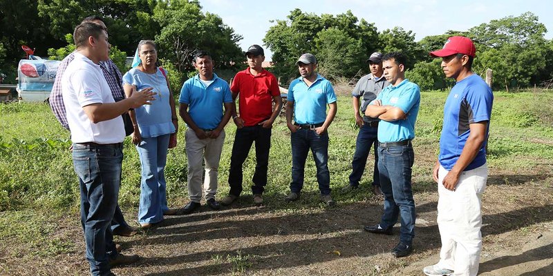 TECNacional - Docentes se capacitan en la técnica de procesamiento de semen porcino