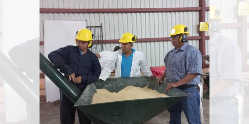 Docentes Técnicos se especializan en el tema de Sanidad Animal