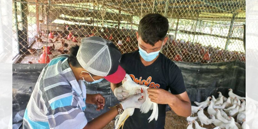 Centro Tecnológico de Muy Muy cerca de cerrar proyección de Matrícula 2022