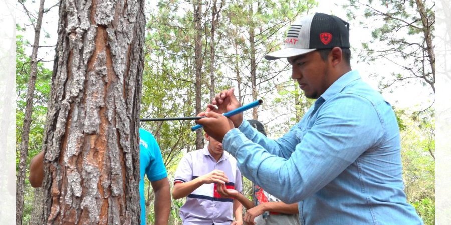 Eliam Castellón: “Estudiar el Técnico Forestal me abrió las puertas al éxito”