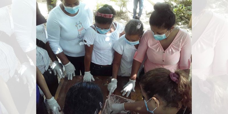 Prácticas de inseminación porcina para productores de El Caimito, Rivas