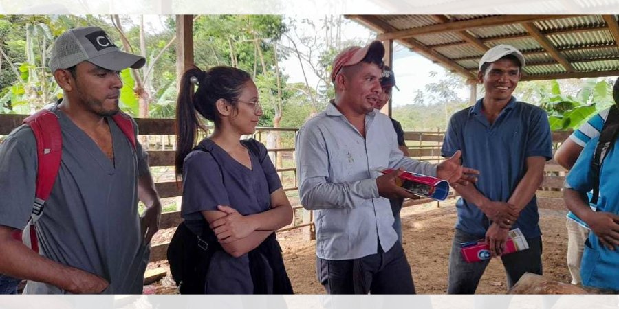 Ganaderos aprenden técnicas de inseminación artificial a través de las Escuelas Técnicas de Campo