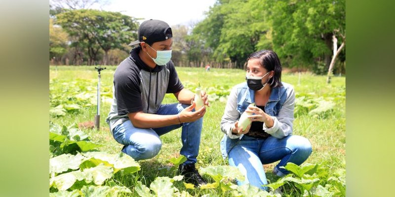 Profesionales técnicos del sector agropecuario a la economía nacional