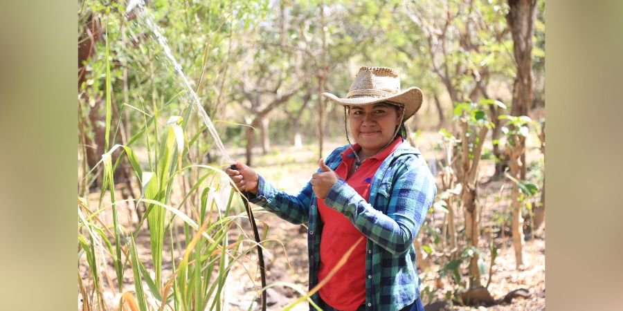 ¿Qué tanto aportan los profesionales técnicos del sector agropecuario a la economía nacional?