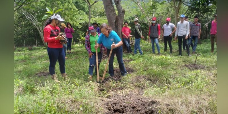 Veintiocho años de carrera docente marcan la calidad de la Educación Técnica